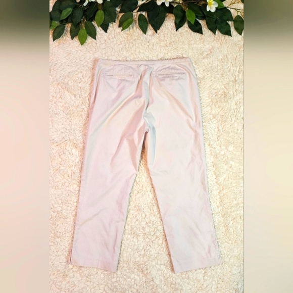Banana Republic Martin Classic Stretch Baby Pink Slacks - Picture 3 of 6